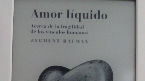 Zygmunt Bauman Amor líquido Libros Bicho Reactor