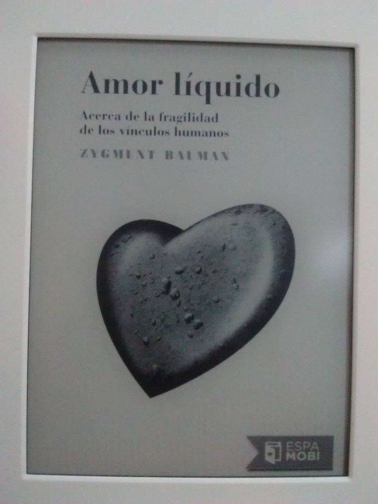 Zygmunt Bauman Amor Líquido Libros Bicho Reactor 